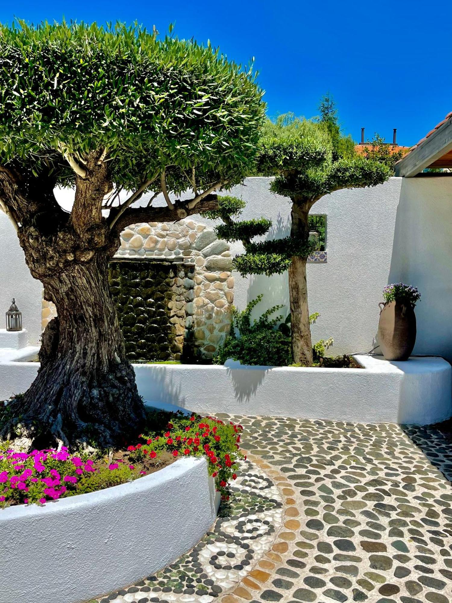 Casa De Oro Alma Aparthotel Sozopol Exteriör bild