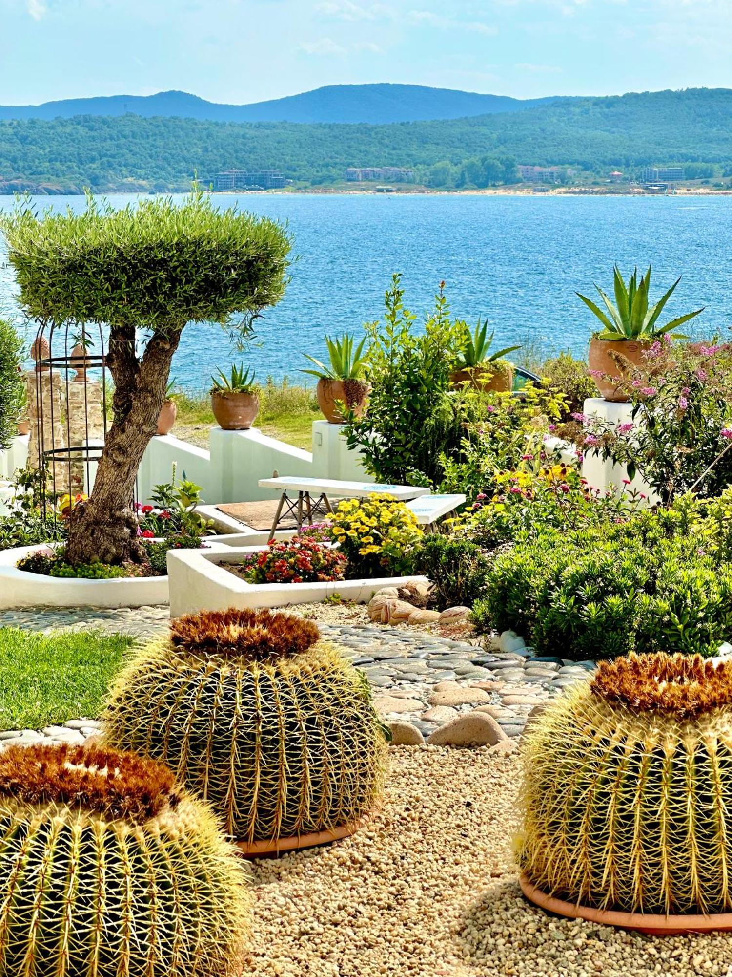 Casa De Oro Alma Aparthotel Sozopol Exteriör bild